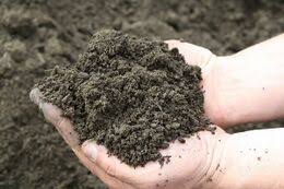 a pair of hands holding clay loam soil