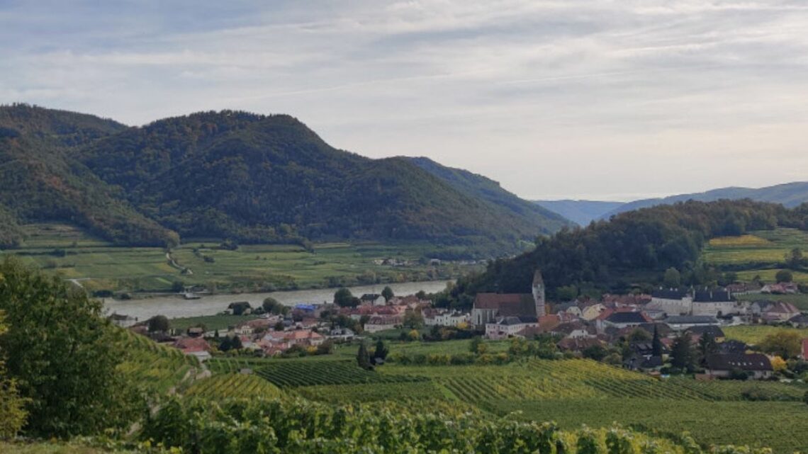 Wachau wine - picture of landscape of Wachau