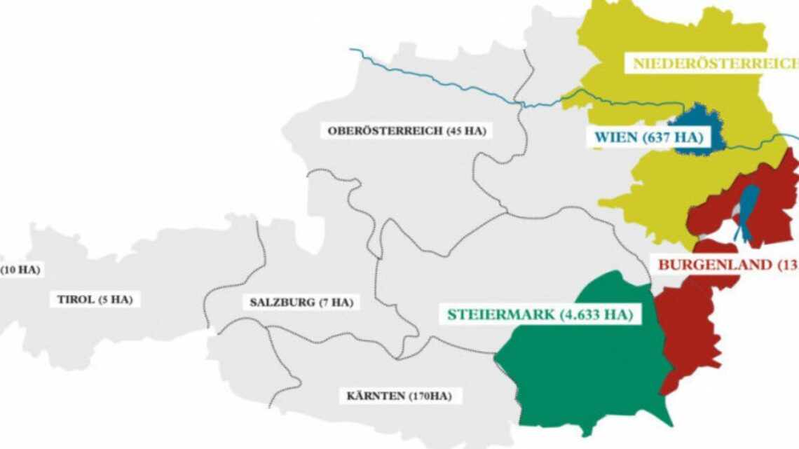 What are the most famous wine regions in Austria - map of the Austrian wine regions