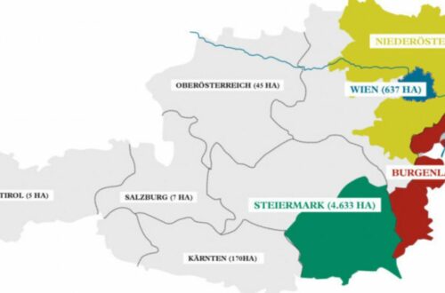 What are the most famous wine regions in Austria - map of the Austrian wine regions