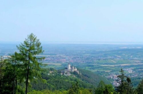 Mittelburgenland wines - landscape of Mittelburgenland