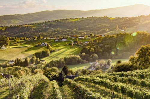 Steiermark wines - picture of landscape of Steiermark wines