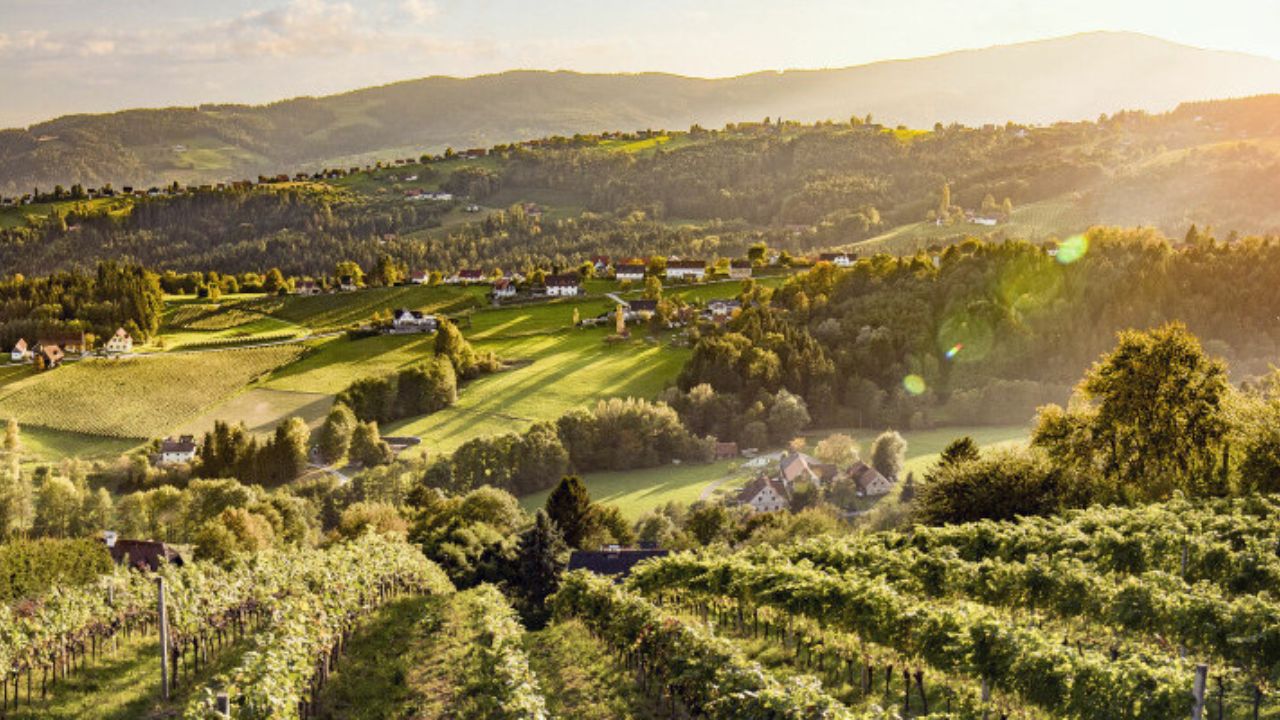 Steiermark wines - picture of landscape of Steiermark wines