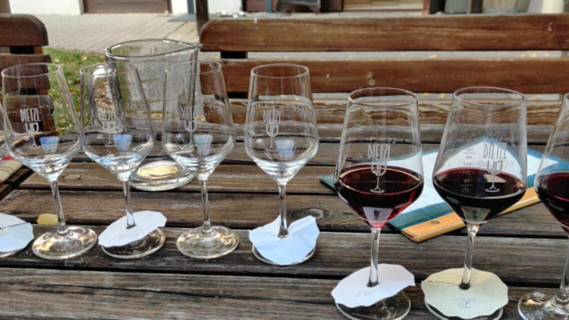 Weinviertel Wine - picture of wine glasses on a table