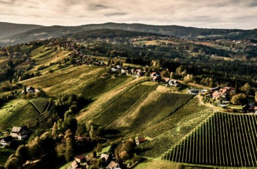 Weststeiermark wines - photo of landscape of Weststeiermark