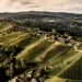 Weststeiermark wines - photo of landscape of Weststeiermark