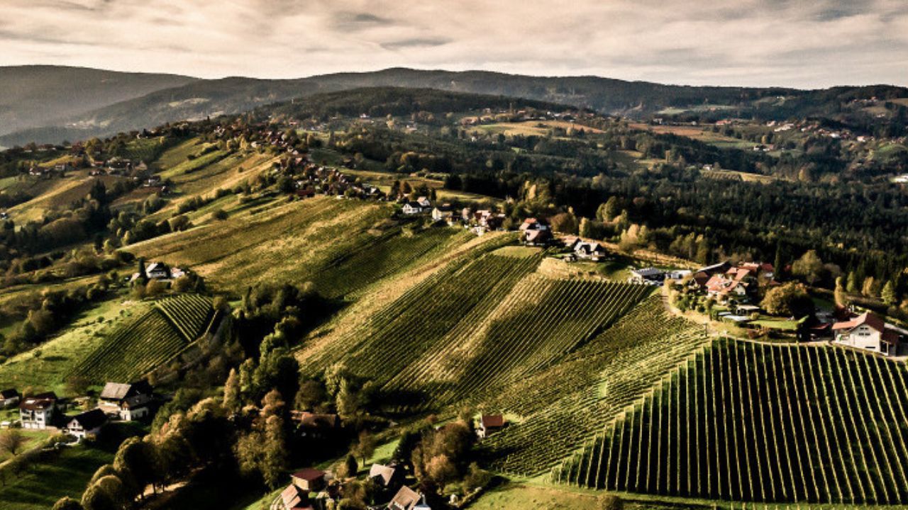 Weststeiermark wines - photo of landscape of Weststeiermark