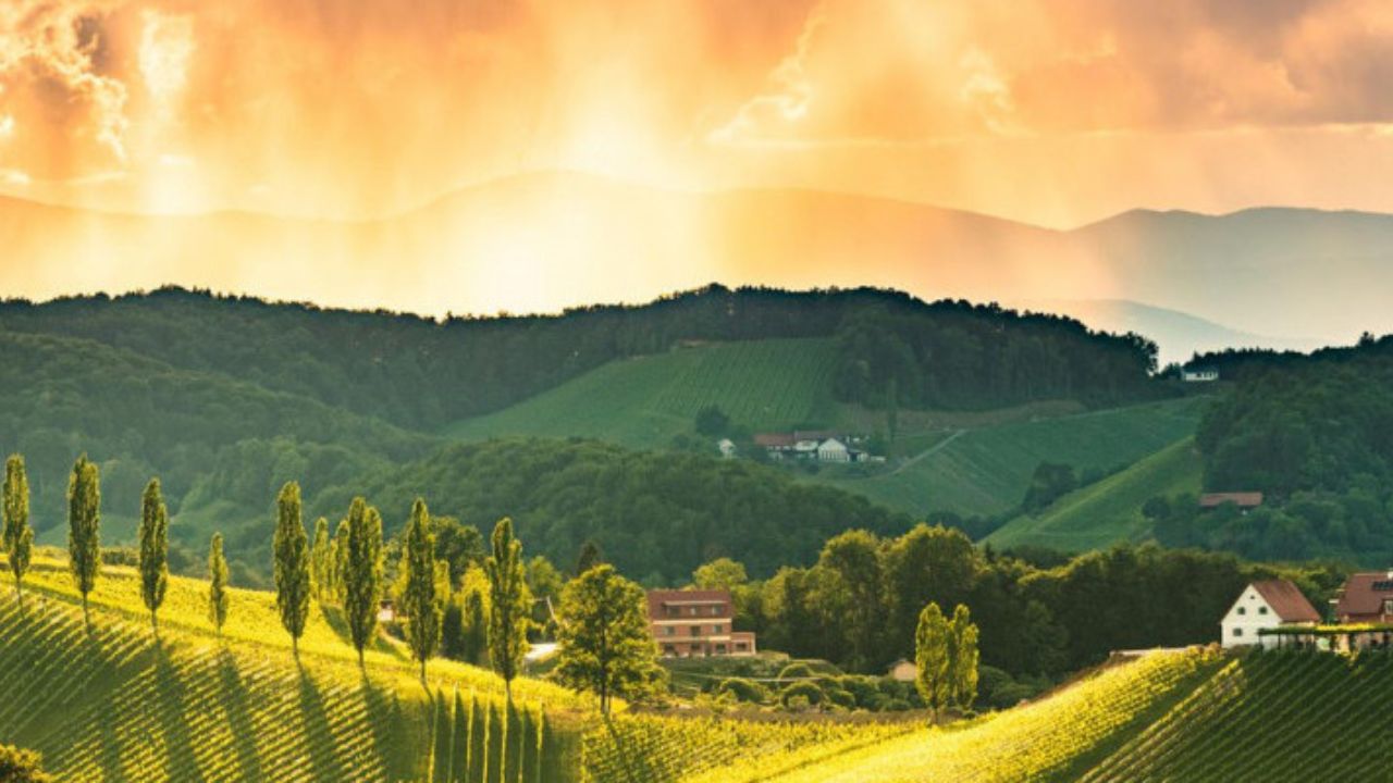 Südsteiermark wines - picture of landscape from Südsteiermark