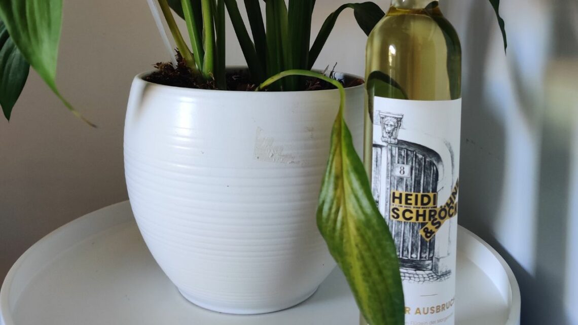 What type of wine is Ruster Ausbruch - bottle of ruster ausbruch next to a plant