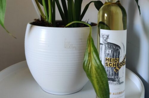 What type of wine is Ruster Ausbruch - bottle of ruster ausbruch next to a plant