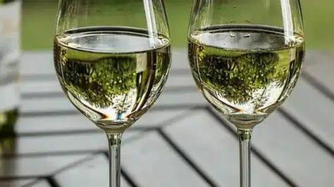 Grauburgunder vs Weissburgunder - two glasses of white wines