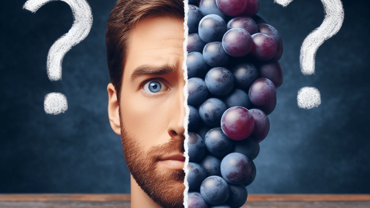 Is Blaufränkisch sweet - A split image. On one side, show a bunch of ripe Blaufränkisch grapes. On the other side, display a question mark or a confused face. This creates intrigue and directly reflects the blog post's theme of exploring the sweetness level of Blaufränkisch.