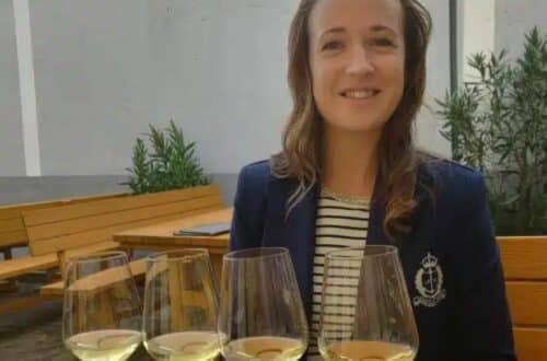 Top Grüner Veltliner Producers in Wachau - Picture of me in front of white wine glasses