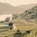 History of Grüner Veltliner in the Wachau - vintage picture of Wachau vineyards