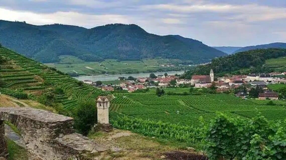 Wachau’s Grüner Veltliner Viticulture Challenges And Solutions - pictue of Wachau landscape