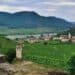 Wachau’s Grüner Veltliner Viticulture Challenges And Solutions - pictue of Wachau landscape