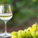 Clairette Grape Variety - picture of a glass of wine near a bunch of white grapes